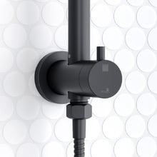 Carson Gooseneck Twin Shower